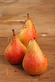 russet pear, pear, hasting pear, white butter pear, pear tree, warden, growth, fruit, perry, william pear, CD 0088, Kiss Lszl, Lszl Kiss