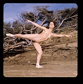 naturist, naturist woman, freikrperkultur, nudist, ballet-dancer, ballerina, move, movement, dance, outdoors, without doors, naturism, nudism, fkk, INF, naked, stripped, in a state of nature, in the buff, in the nude, nudity, nude, nakedness, nudist women, girl, dame, lady, young, balett, ballet shoes, coast, beach, tree, limb, parched, attitude, pose, posture, beauty, beautiful, pretty, thin, wispy, Sonya, Guadelupe, San Francisco, CD 0008
