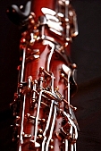 bassoon, reed, bassoon vent, woodwind instrument, partial, instrument, maple, blink, gleam, Pchner, Josef Pchner, play the bassoon, musical instrument, tree, metal, shiny, unique, tooter, music, , song, accompanist instrument, independent instrument, symphonic orchestra, musician, artist, virtuoso, virtuosi, sheet music, composer, Beethoven, Mozart, 2007, CD 0044, Kiss Lszl, Lszl Kiss
