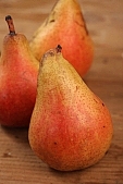 russet pear, pear, hasting pear, white butter pear, red, yellow, orange, pear tree, warden, growth, fruit, perry, william pear, CD 0088, Kiss Lszl, Lszl Kiss