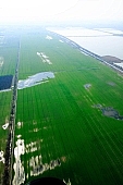 lake, fishpond, water, inland inundation, airphotograph, air photos, aerials, aerial, Hungary, Szeged, white, blue, field, arable, clod, earth, ploughland, tillage, island, farms, homestead, plow, parcel, soil, ground, agriculture, cultivation, grower, grass, green, nature, natural, air, of the air, plan, map, fishery, fishing, road, dirt road, table, wheatfield, sunlight, reflection, Kiss Lszl, Lszl Kiss