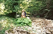 nudism, Russia, freikrperkultur, naturism, Caucasus mountain area, young naturists, young nudist, woman, young, naturist, nudist, mountain, hillside, backpack, knapsack, rucksack, climbing, moss, unclad, stripped, naked, plant, blossom, bloom, flower, greenery, fkk, INF, tree, light, shadow, mysterious, CD 0058