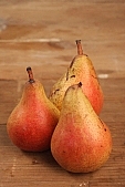 russet pear, pear, white butter pear, pear tree, warden, growth, fruit, hasting pear, perry, william pear, CD 0088, Kiss Lszl, Lszl Kiss