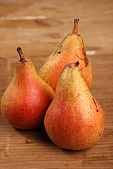 pear, russet pear, pear tree, warden, growth, fruit, hasting pear, uscious, sweet, juicy, balmy, fragrant, redolent, white butter pear, perry, william pear, CD 0088, Kiss Lszl, Lszl Kiss